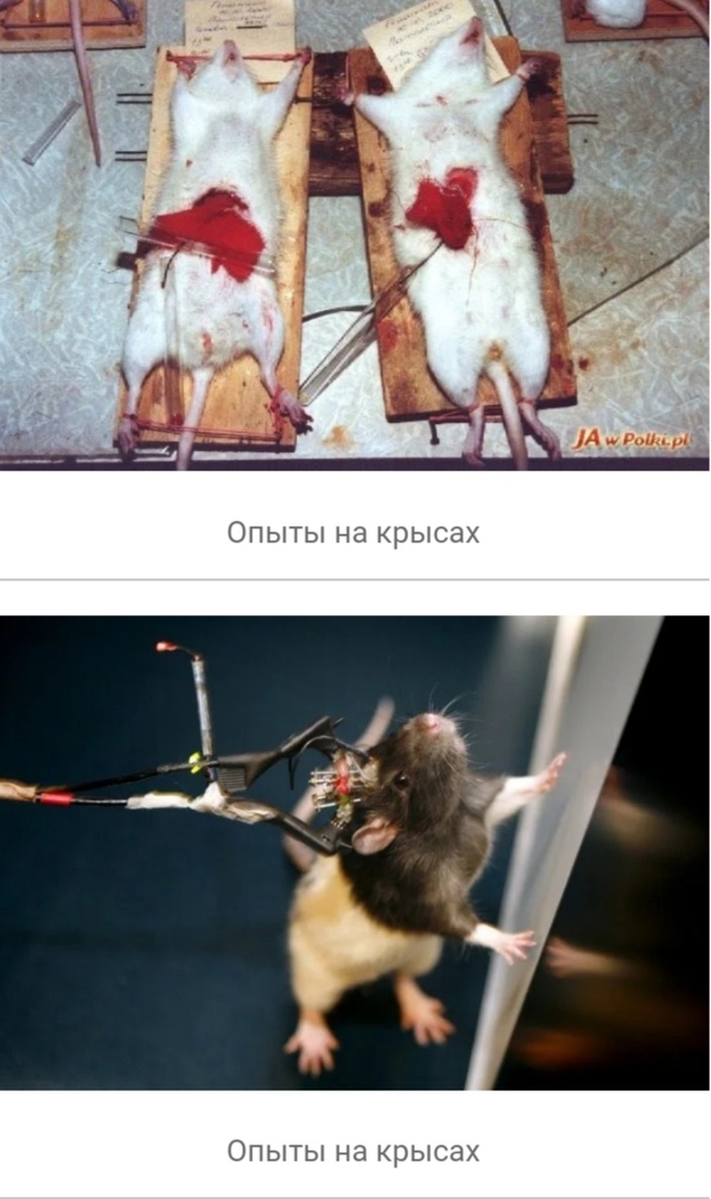 что такое вивисекция в ведьмаке. 1608463301114256293. что такое вивисекция в ведьмаке фото. что такое вивисекция в ведьмаке-1608463301114256293. картинка что такое вивисекция в ведьмаке. картинка 1608463301114256293. Сериал «Ведьмак» от Netflix оказался немного сложным, но у любителей саги о Геральте из Ривии есть простое и элегантное решение проблемы — цветная диаграмма. И если бы по сериалу делали учебник, то этот иллюстративный материал стал бы его украшением. Фанат экранизированного «Ведьмака» собрался с силами, пересмотрел его и составил наглядное пособие, которое поможет легко разобраться во всех перипетиях сериала.