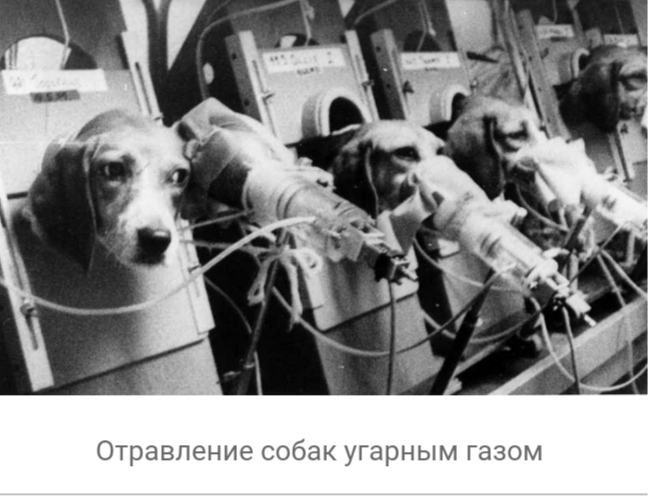 что такое вивисекция в ведьмаке. 1608463713161161899. что такое вивисекция в ведьмаке фото. что такое вивисекция в ведьмаке-1608463713161161899. картинка что такое вивисекция в ведьмаке. картинка 1608463713161161899. Сериал «Ведьмак» от Netflix оказался немного сложным, но у любителей саги о Геральте из Ривии есть простое и элегантное решение проблемы — цветная диаграмма. И если бы по сериалу делали учебник, то этот иллюстративный материал стал бы его украшением. Фанат экранизированного «Ведьмака» собрался с силами, пересмотрел его и составил наглядное пособие, которое поможет легко разобраться во всех перипетиях сериала.