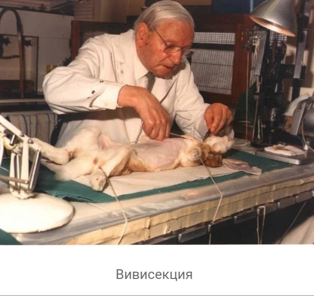 что такое вивисекция в ведьмаке. 1608463714117612992. что такое вивисекция в ведьмаке фото. что такое вивисекция в ведьмаке-1608463714117612992. картинка что такое вивисекция в ведьмаке. картинка 1608463714117612992. Сериал «Ведьмак» от Netflix оказался немного сложным, но у любителей саги о Геральте из Ривии есть простое и элегантное решение проблемы — цветная диаграмма. И если бы по сериалу делали учебник, то этот иллюстративный материал стал бы его украшением. Фанат экранизированного «Ведьмака» собрался с силами, пересмотрел его и составил наглядное пособие, которое поможет легко разобраться во всех перипетиях сериала.