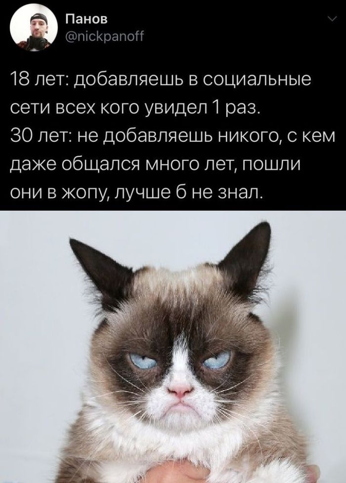  , , 30 ,  , , Grumpy Cat