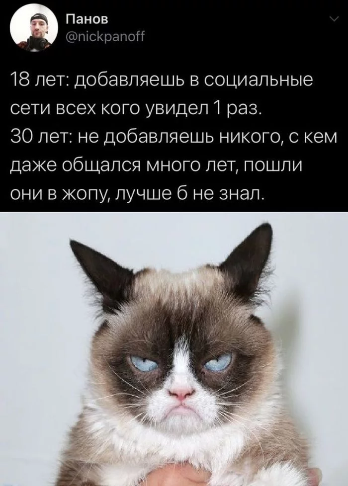 Yes - cat, Sociopathy, 30 years, Social networks, Screenshot, Grumpycat, , Grumpy cat