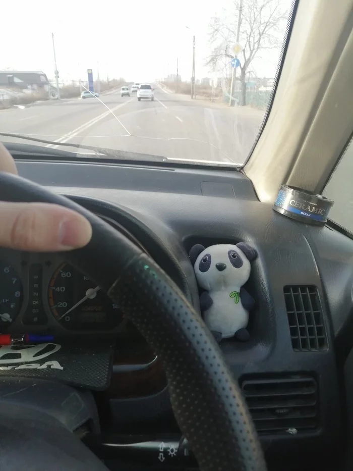 My constant travel companion - My, Panda, Road