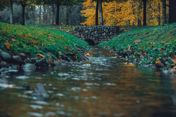 Golden autumn - My, Zenitar, Nikon d5300, Autumn, The photo, Peterhof, beauty, The park, Longpost