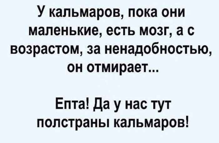 ���� ������ ���������