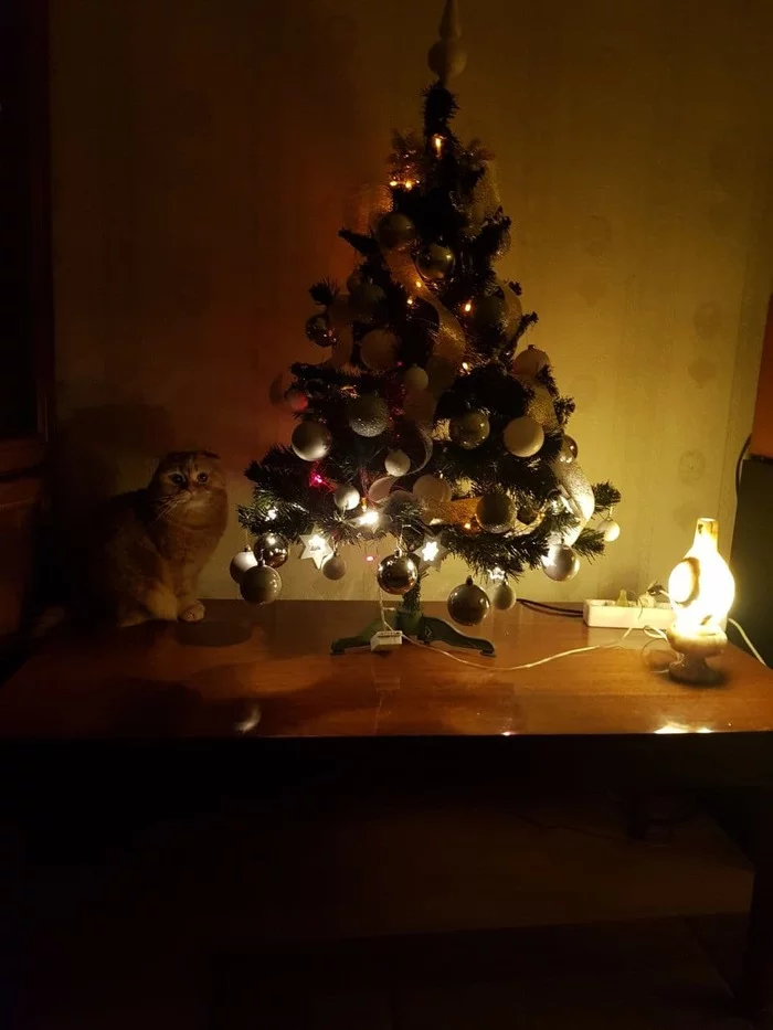 My versions of the cat lamp - My, cat, Лампа, New Year, Longpost, Christmas tree