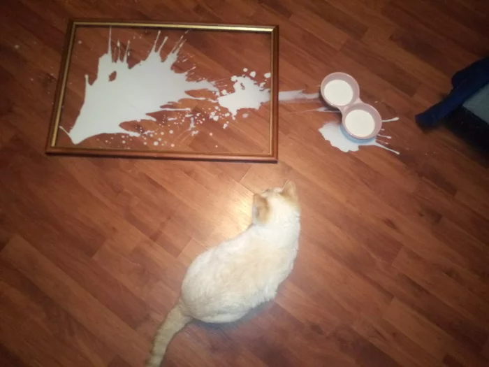 Modern Art - My, cat, Milk, Modern Art