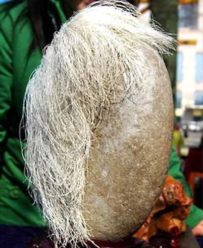 Trump's stone - Gypsum, Hair, Geology, Longpost