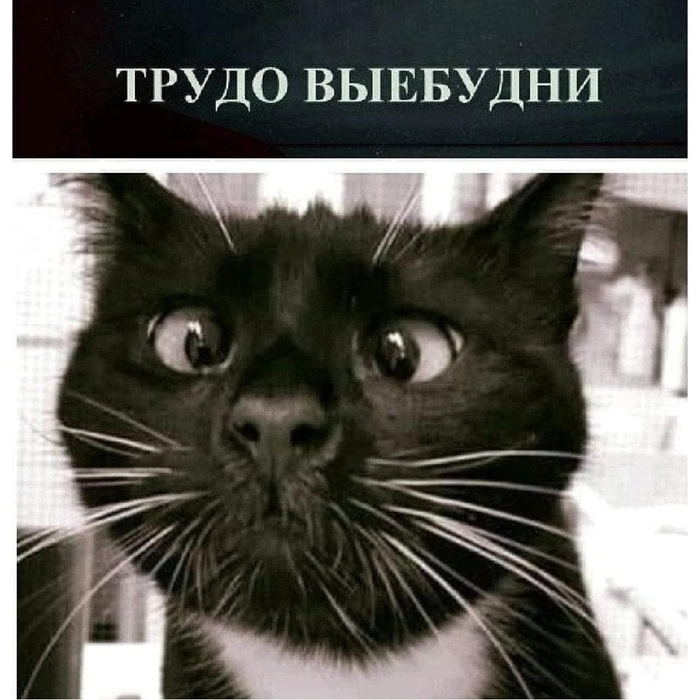 Они пришли опять за мной