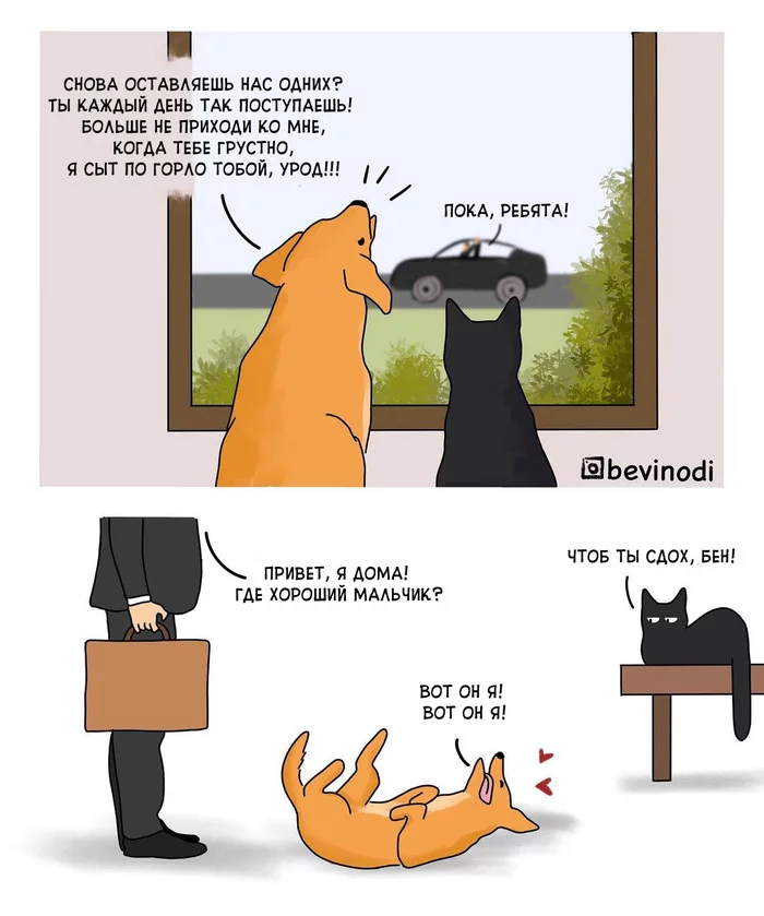 Ben is a good boy - Bevinodi, Comics, Dog, cat, Humor