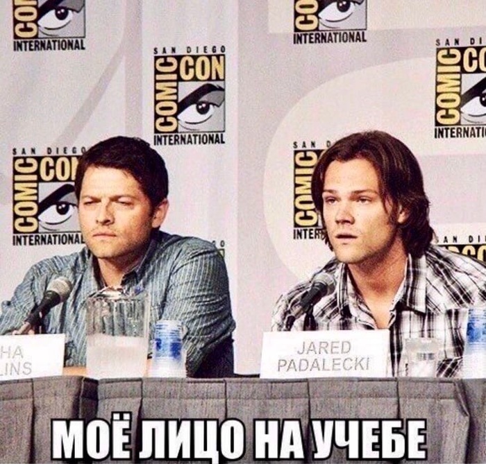 Студенты делятся на два типа...