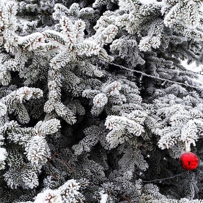 ���� � ������