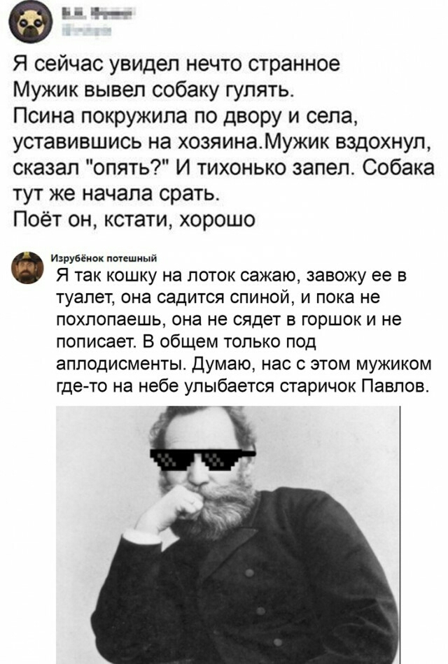 Дети Павлова - Скриншот, Комментарии, Домашние животные, Дрессировка