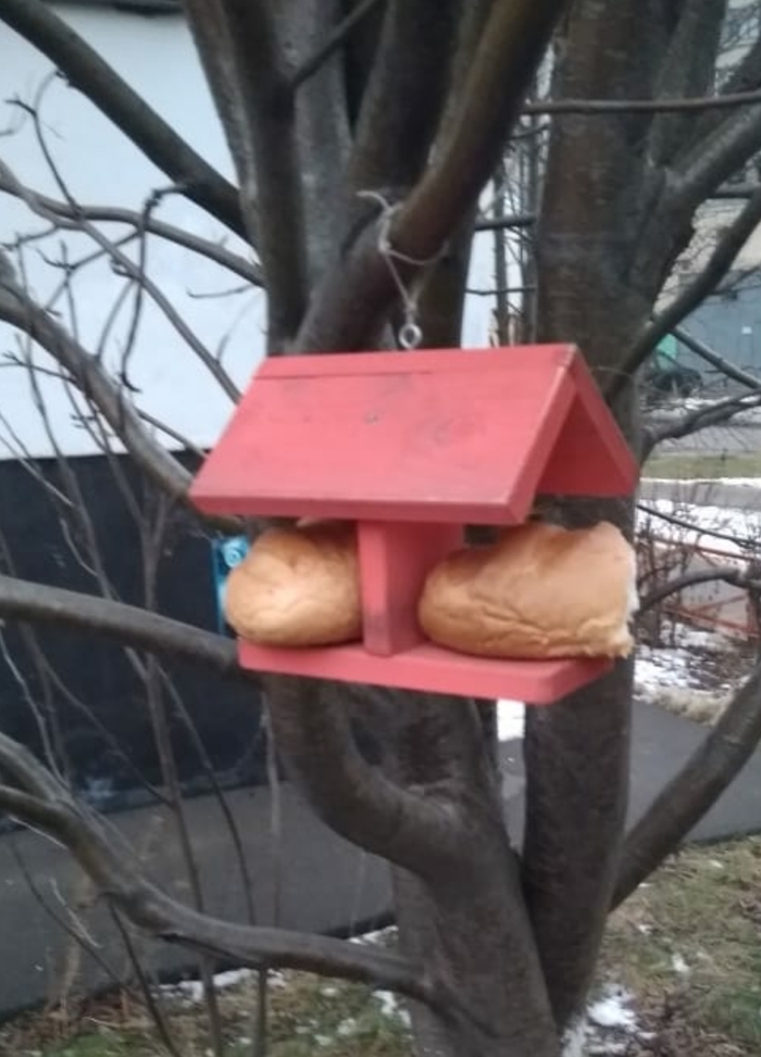 ���  � ������� ������ �������