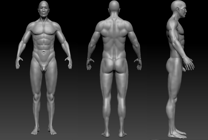    3d    Zbrush, 3ds Max