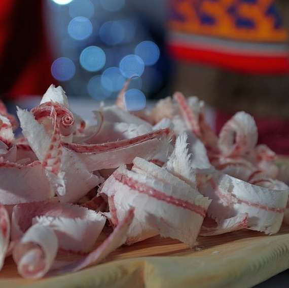 What is eaten in Yamal: Raw meat and fish in ice (7 photos) - Yamal, Deer, Winter, Stroganina, Fishing, Food, North, Snack, Longpost, Deer