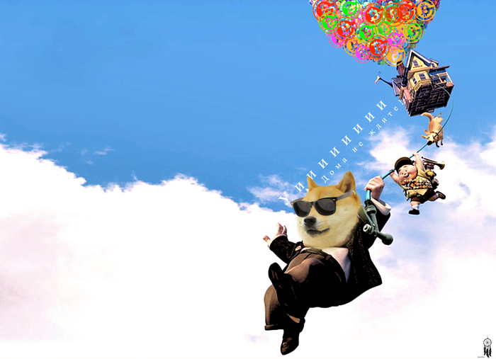 Собаки в небе