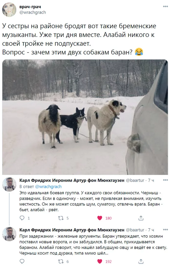 Идеальная боевая группа - Twitter, Комментарии, Скриншот, Юмор, Собака, Алабай, Группа, Идеально, Животные, Домашние животные