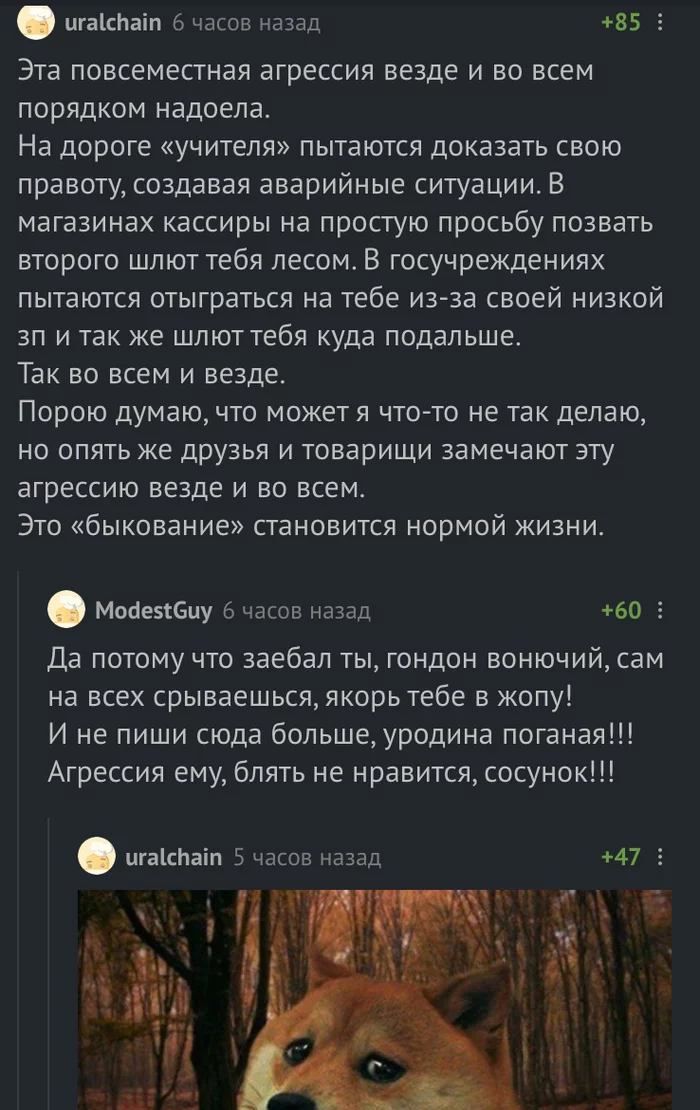 Ну а чо он доводит? - Комментарии на Пикабу, Мат, Скриншот