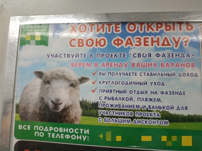 ���� � ������ ����� �������