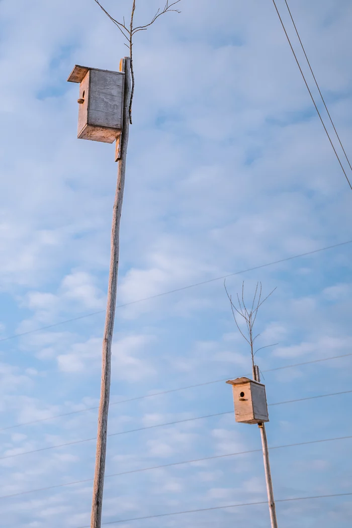 Affordable Housing - My, Birdhouse, Winter, Village, The photo, Affordable Housing