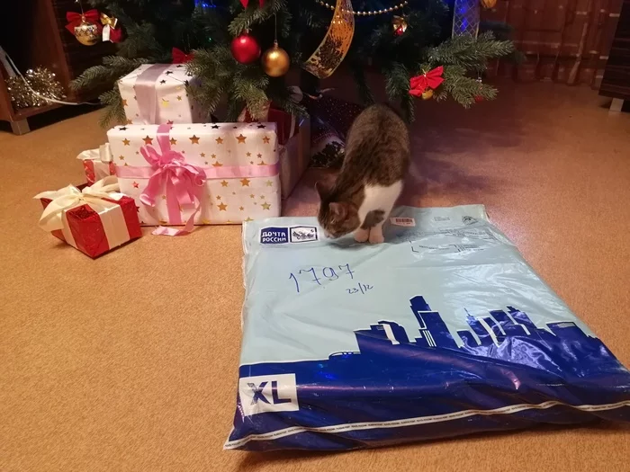 ADM Volgograd - Chelyabinsk 2020/2021 - My, Gift exchange, Secret Santa, cat, Volgograd, Chelyabinsk, Father Frost, Longpost