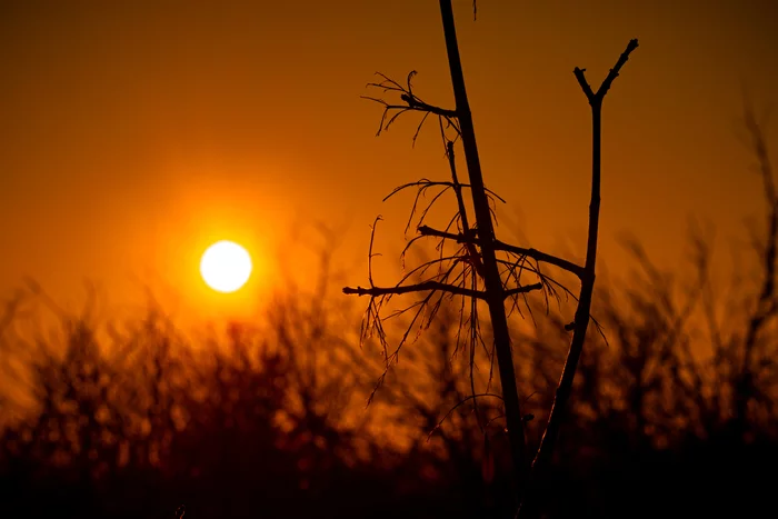 Winter sunsets - My, Sunset, The photo, Winter, Nature, beauty, Longpost