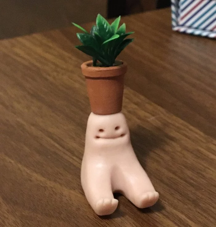 I'm a sculptor, that's how I see it - Figurine, Stand, Decor, Plants, Booty, The photo, Longpost, Flower pot, Figurines