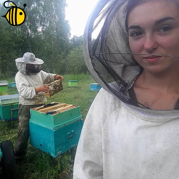 Summer moments - My, Beekeeping, Apiary, Summer, Heat, Honey, Nature, Insects, Work, Village, Village, Forest