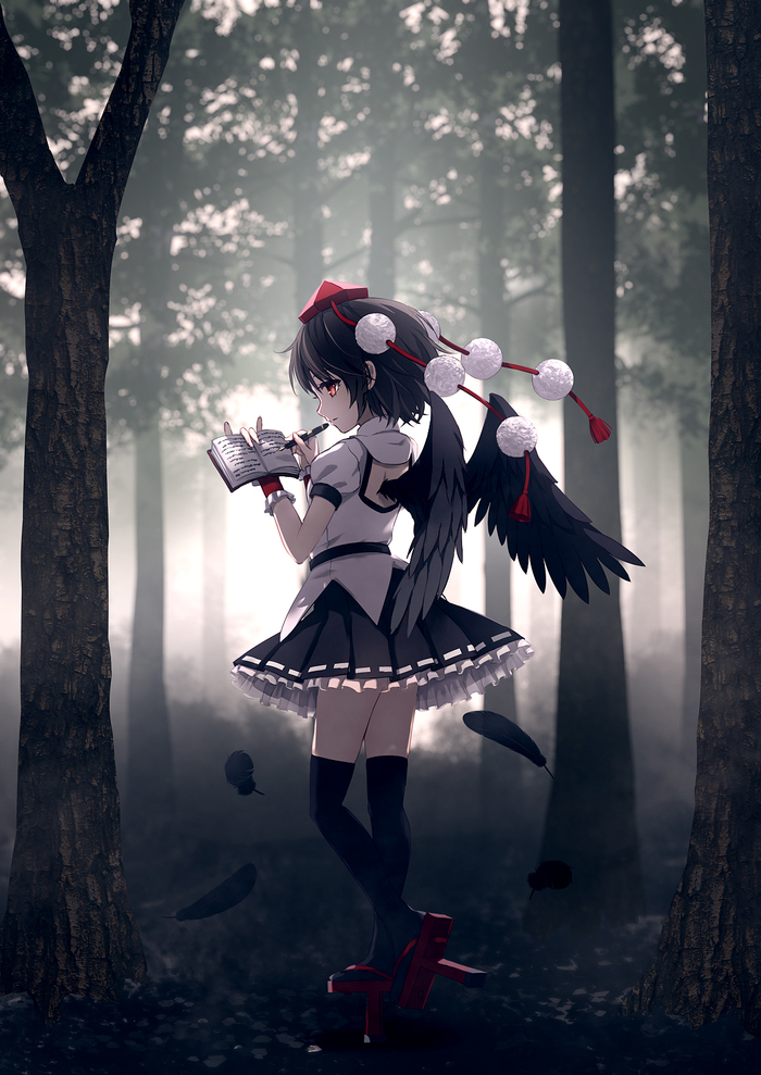 Shameimaru Aya Touhou, Shameimaru Aya, Anime Art, , Dise