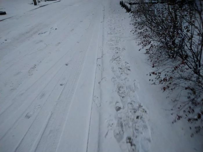 First (second) snow in the Dnieper - My, Snow, Winter