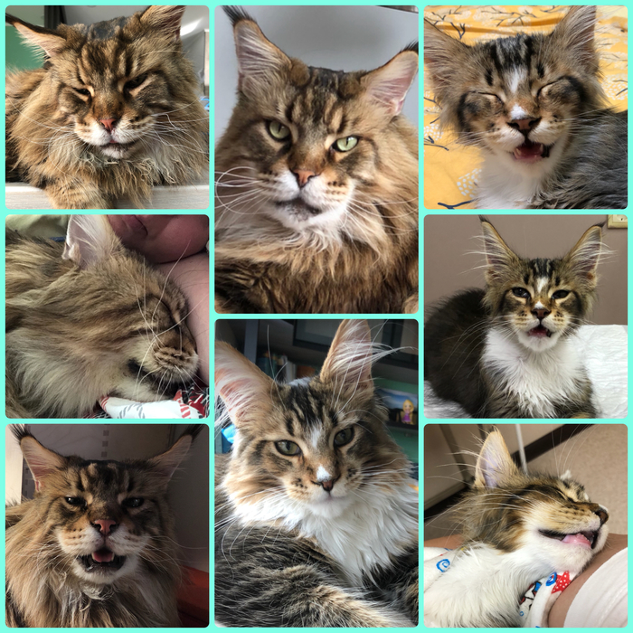 ������, ������ ��� �������� ���� ���������