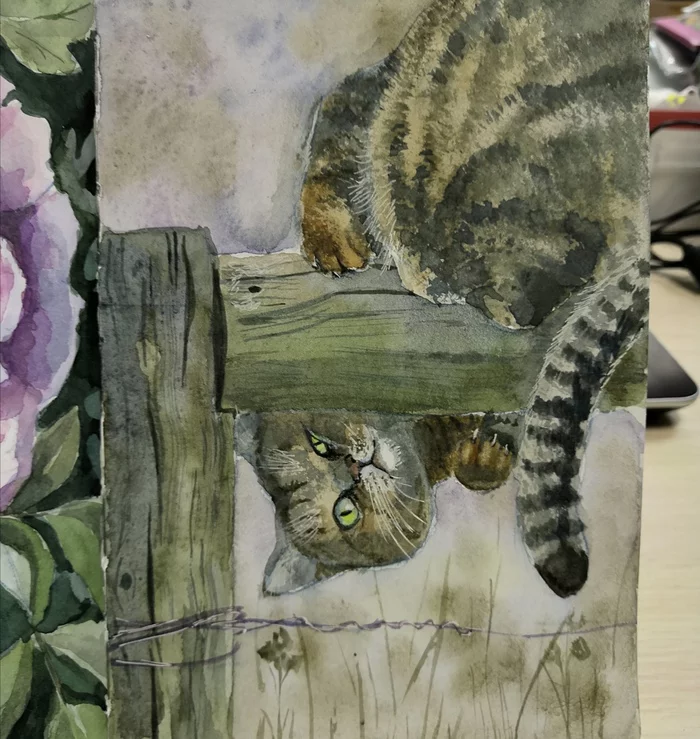 Day of drawing cats in strange poses - My, Watercolor, Traditional art, Sketch, Sketchbook, cat