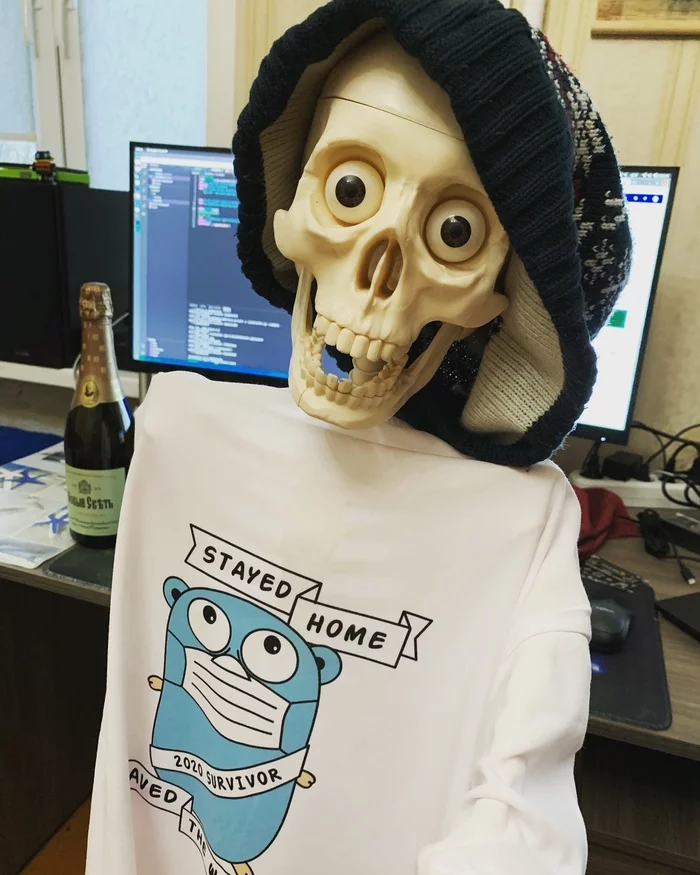 Stayed at home and survived - My, Skeleton, T-shirt, Selfie, Gofer