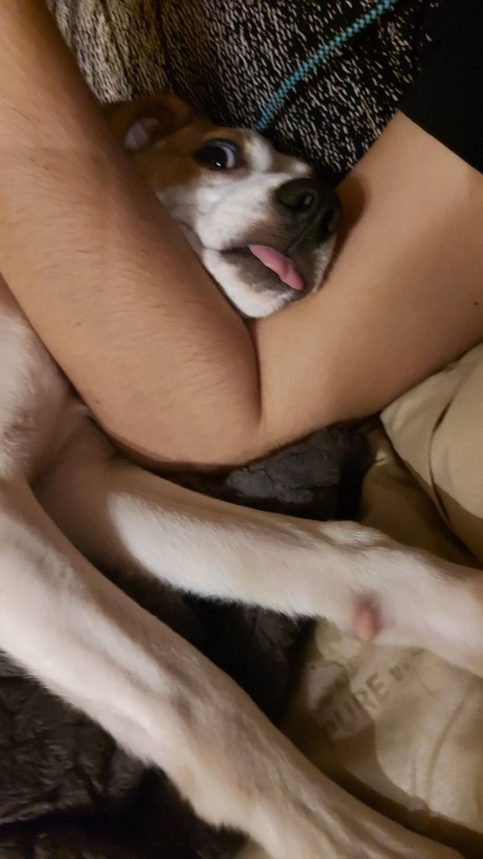 Страшное чудище