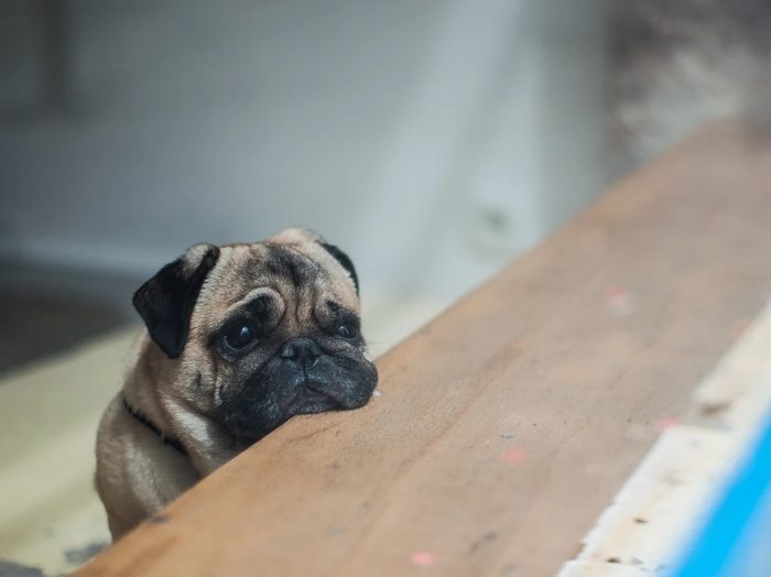 �������������� ����������