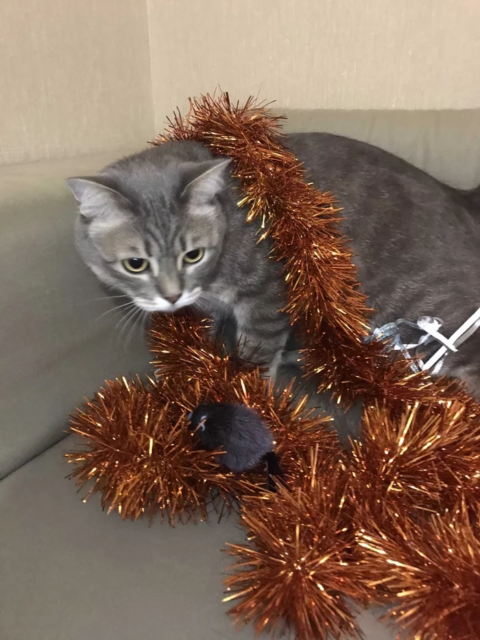 New Year's miracle from Zelenograd to Rostov-on-Don - Longpost, New Year's gift exchange, Gift exchange report, Gift exchange, Secret Santa, My