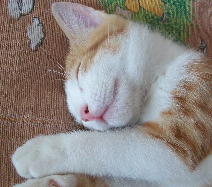 ����� ����������, ��� ������ � ���� ���������� ����� ���������� �������