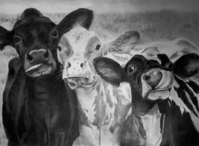 Hello - My, Pencil drawing, Funny animals