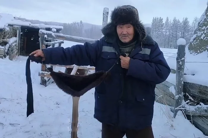 In Yakutia, farmers sew fur bras for cows due to 50-degree frost - Yakutia, Farmer, freezing, Longpost, Cow, Warming, Udder