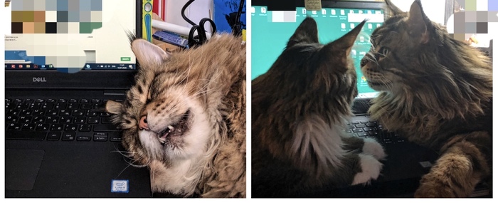 �� � ��� ��������?