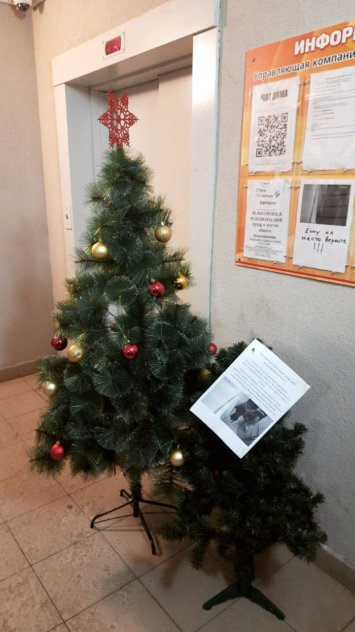 Если это общее, то это ничьё