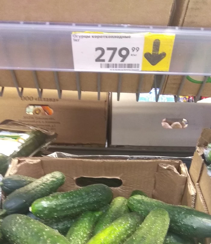 Am I missing something about cucumbers? - Prices, Pyaterochka, Cucumbers, Expensive