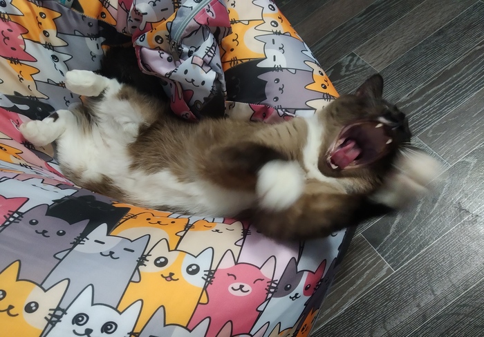 �� ������� �� ���, ���������!