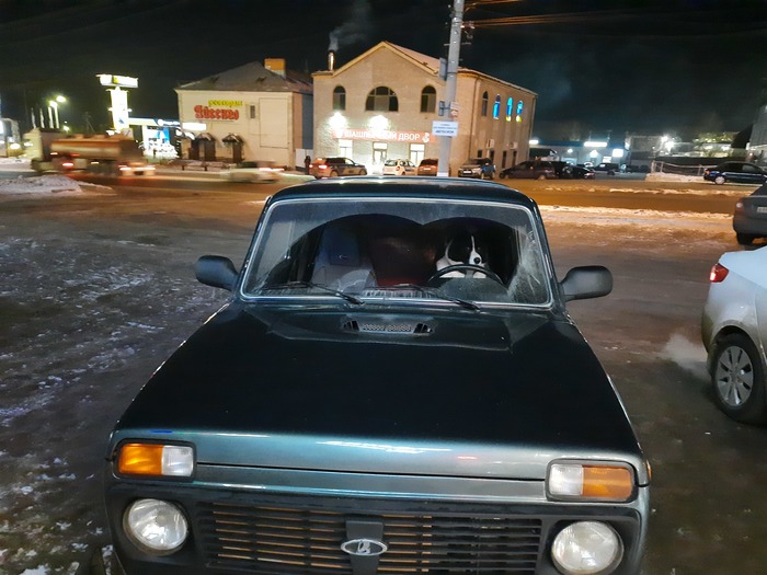 ������ ��������!