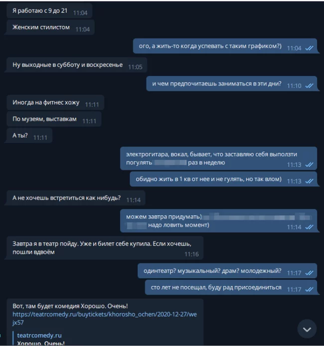 Как я не пошёл в театр за 52 тысячи рублей - Моё, Мошенничество, Негатив, Абсурд, Развод на деньги, Обман, Афера, Интернет-Мошенники, Лохотрон, Длиннопост