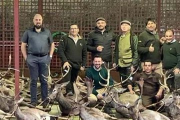 Spanish hunters carried out mass slaughter of deer and wild boars in Portugal - Wild animals, Deer, Boar, Hunting, Killing an animal, Negative, Portugal, Spaniards, Cruelty, Show off, Kripota, The national geographic