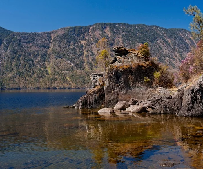 Cordon on the Lake. - My, Altai, Mountain Altai, Teletskoe lake, Adventures, Childhood, Childhood in the USSR, Happiness, Storm, , The mountains, Taiga, Children's happiness, Author's story, Story, Life stories, Real life story, Longpost, Altai Republic