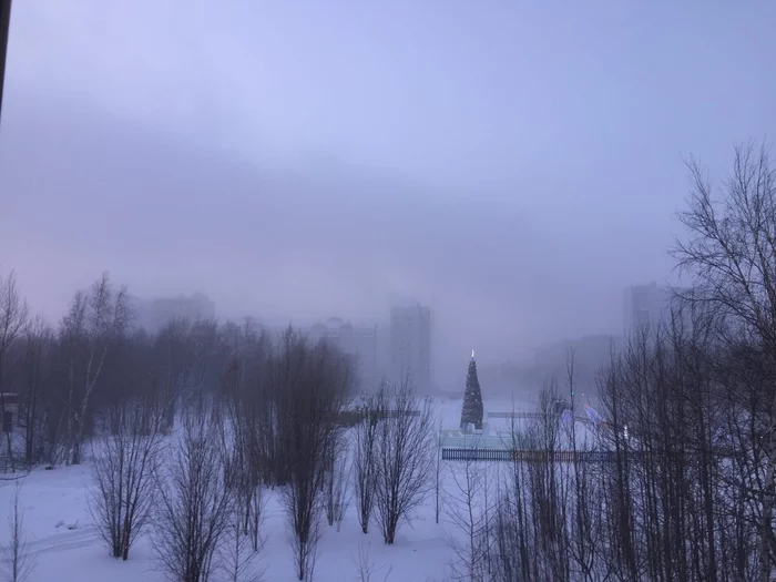 Color photos at -43 - My, The photo, freezing, KhMAO, Winter, Tb color, Christmas trees, Fog