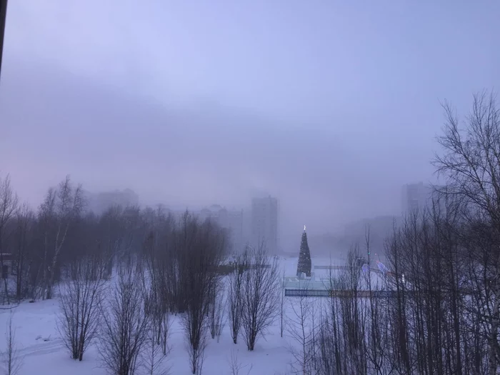 Color photographs at -43 - My, The photo, freezing, KhMAO, Winter, Tb color, Christmas trees, Fog