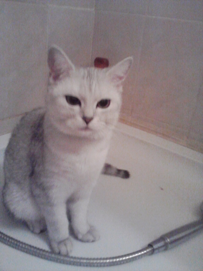 �� ��� �����?! ����� ��@&amp;%! � ��� �� ����